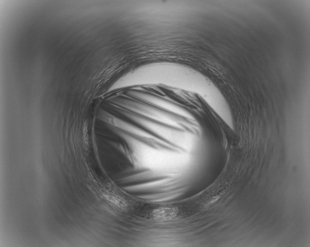 X0000056320700200509231947