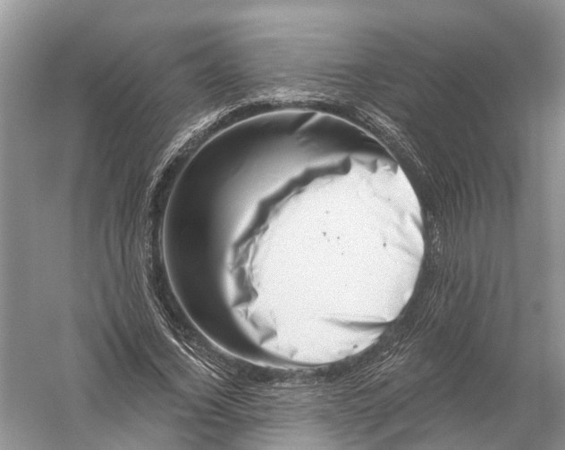 X0000056320732200509231946