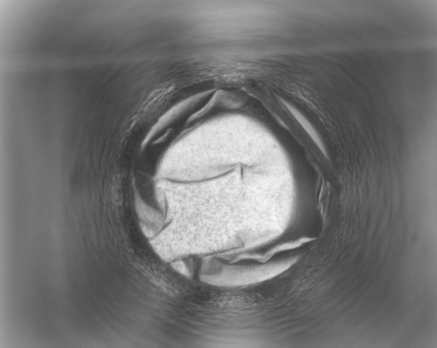 X0000056320738200509231946
