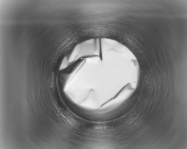 X0000056320744200509231946