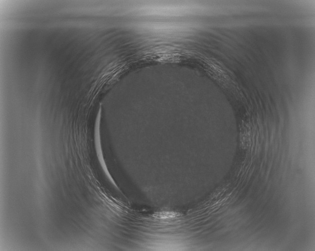 X0000056320748200509231946