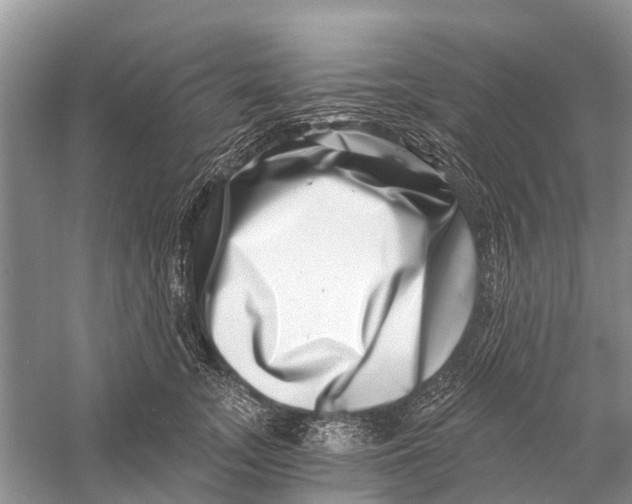 X0000056320755200509231946
