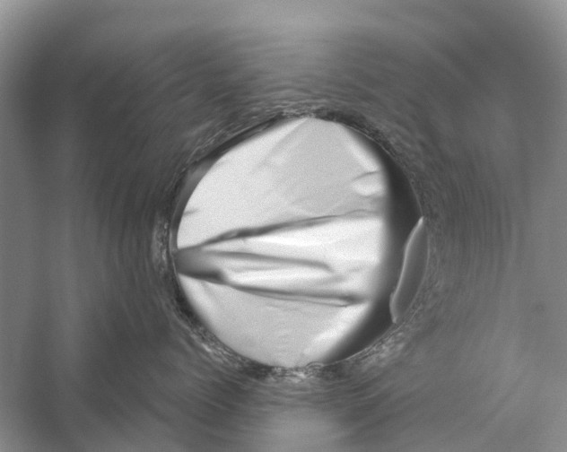 X0000056320768200509231946