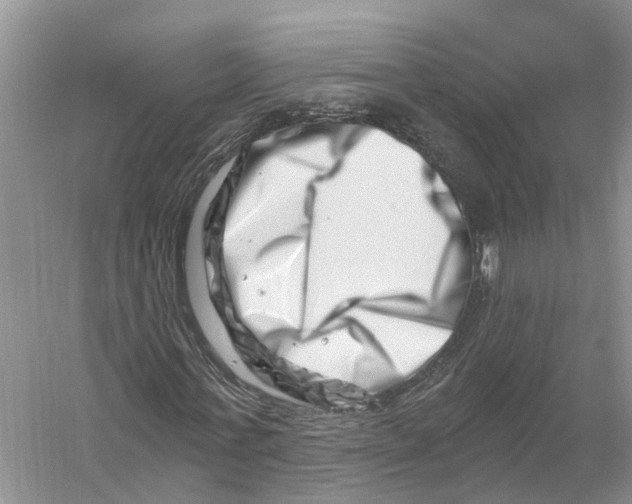 X0000056320771200509231946