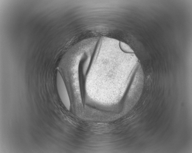 X0000056320772200509231946