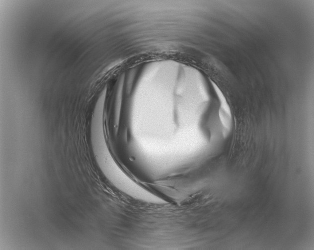 X0000056320773200509231946