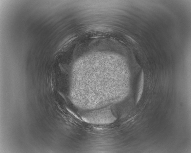 X0000056320774200509231945