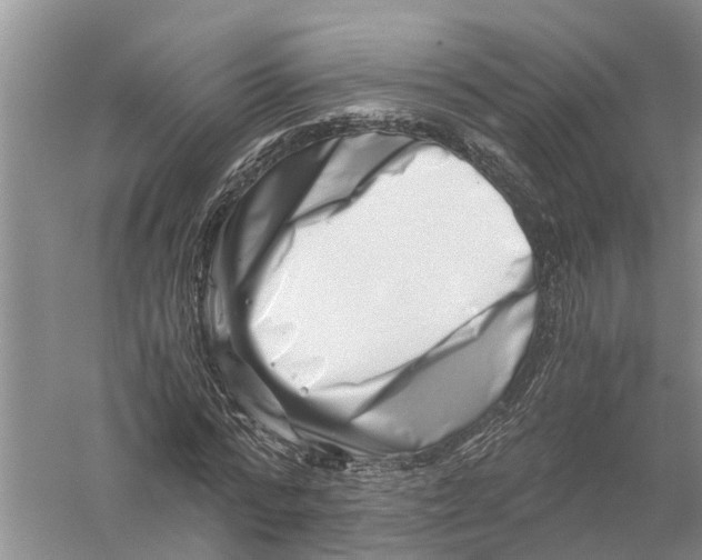 X0000056320776200509231945