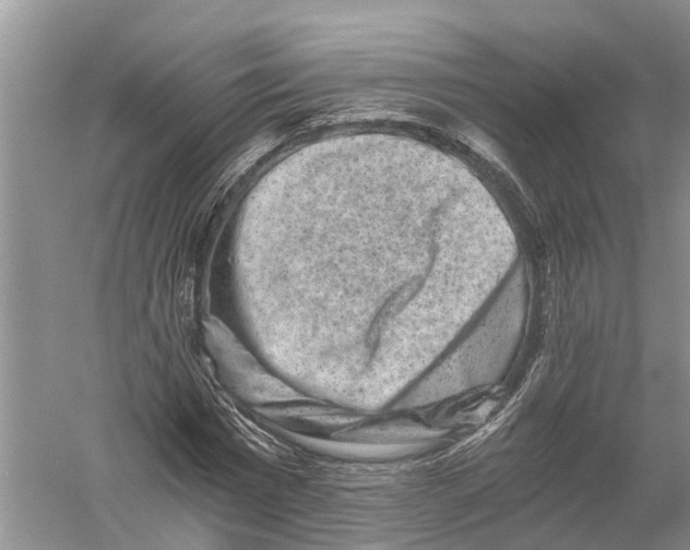 X0000056320777200509231945