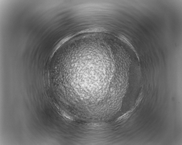 X0000056320781200509231945