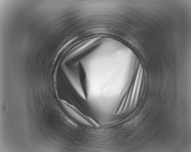 X0000056320782200509231945
