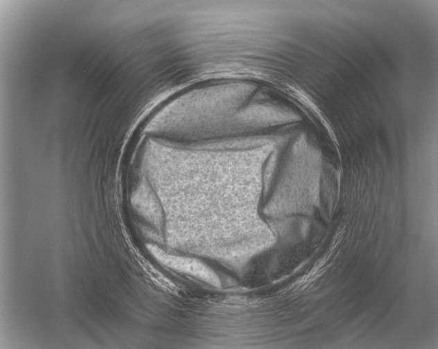 X0000056320787200509231945