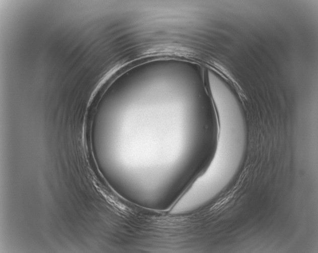 X0000056320788200509231945