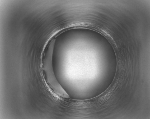 X0000056320792200509231945
