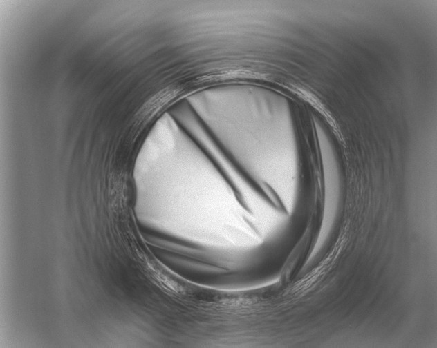 X0000056320793200509231945