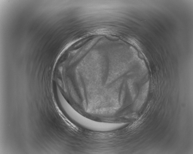 X0000056320795200509231945