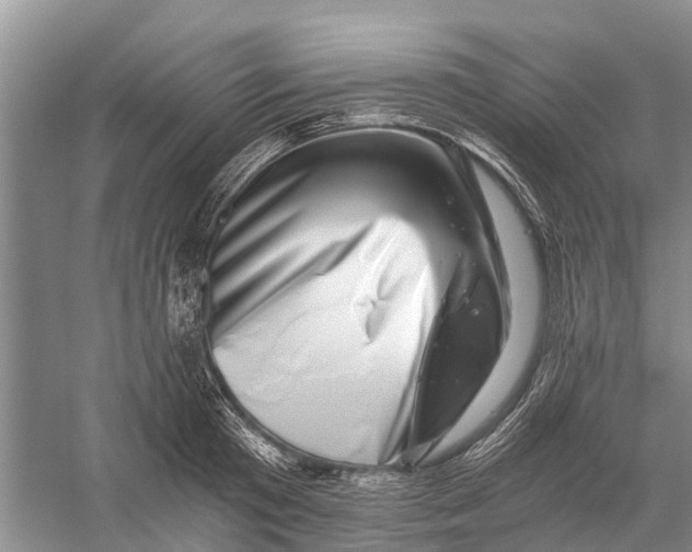 X0000056320801200509231945