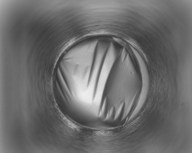 X0000056320805200509231945