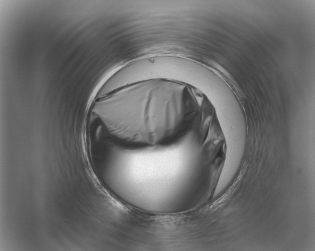 X0000056320812200509231945