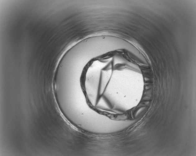 X0000056320813200509231945