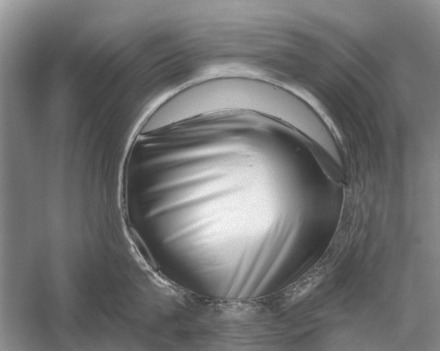 X0000056320815200509231945