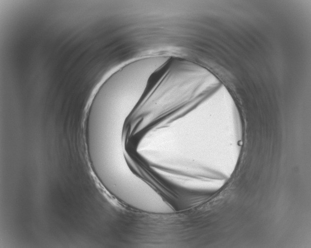 X0000056320816200509231945