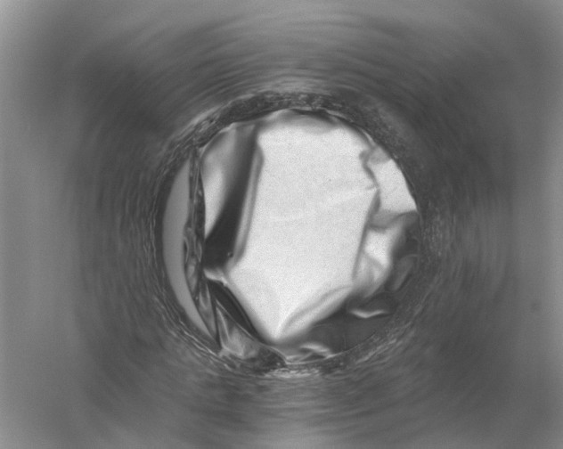 X0000056320821200509231944