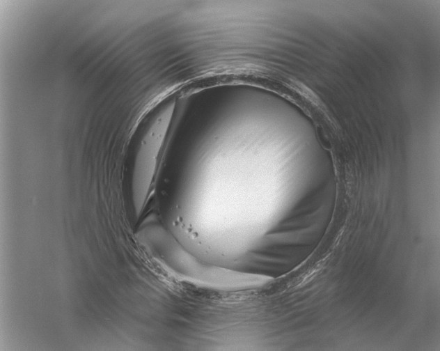 X0000056320826200509231944