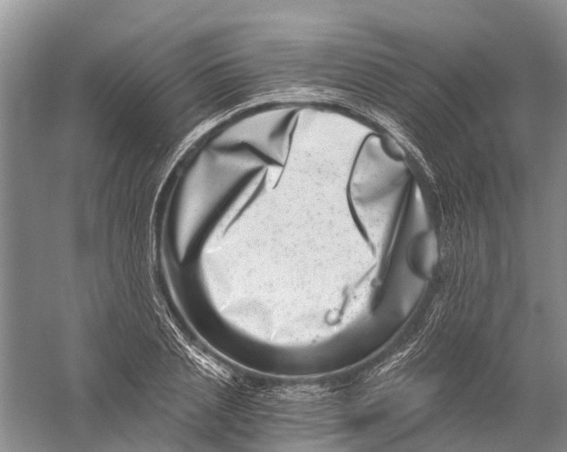 X0000056320837200509231944