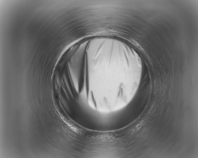 X0000056320838200509231944