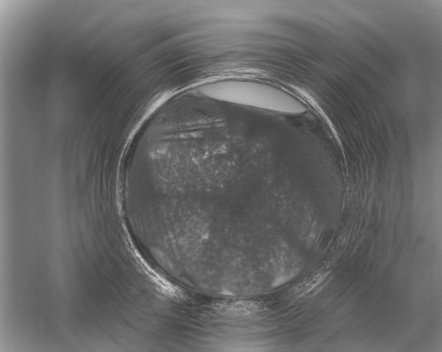 X0000056320851200509231945