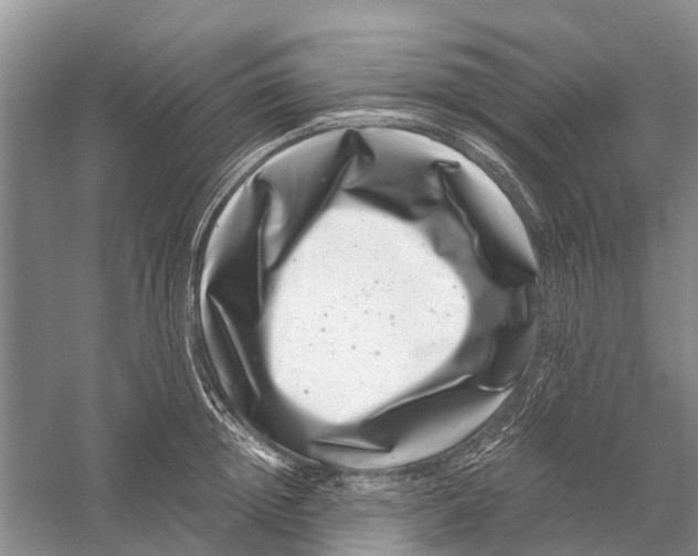 X0000056320852200509231945