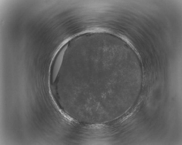 X0000056320853200509231945