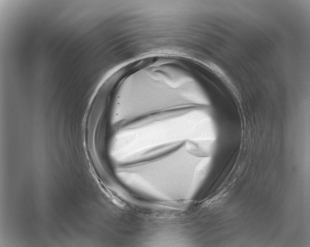 X0000056320862200509231945