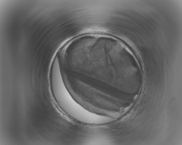 X0000056320864200509231945
