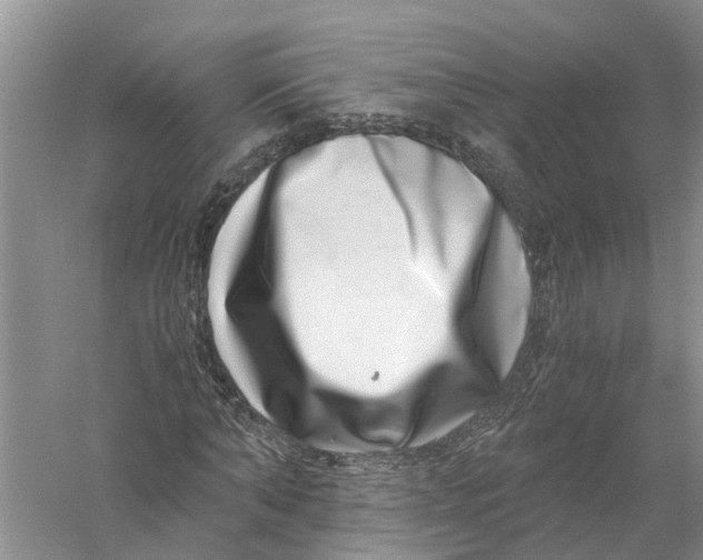 X0000056320870200509231944