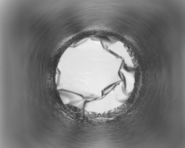 X0000056320872200509231944