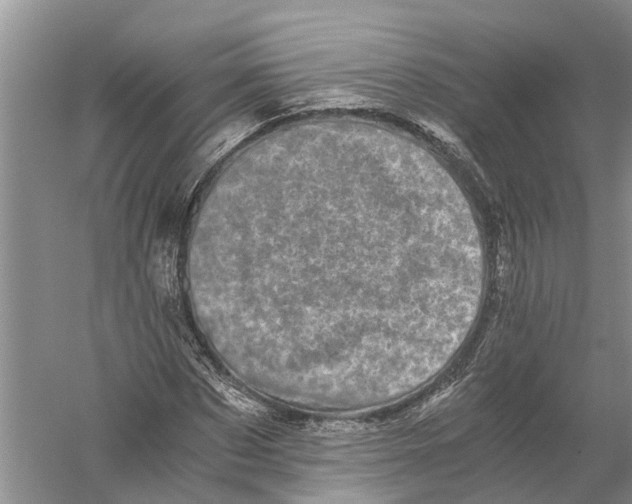 X0000056320873200509231944