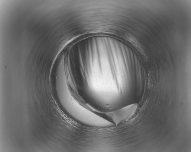 X0000056320876200509231944