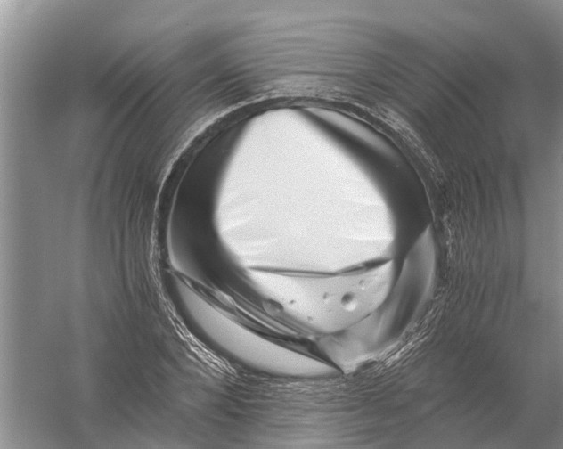 X0000056320880200509231944