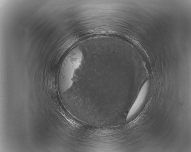 X0000056320881200509231944