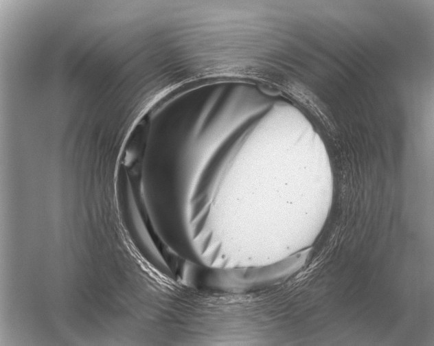 X0000056320884200509231944