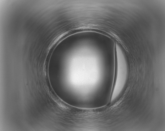 X0000056320885200509231944