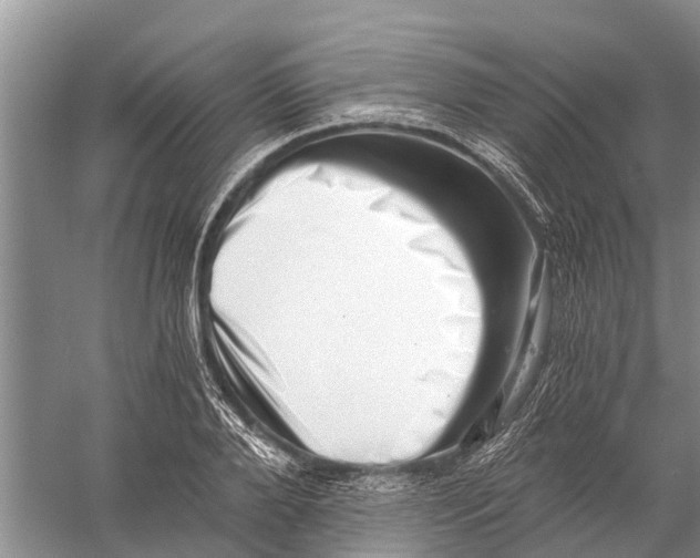 X0000056320888200509231944