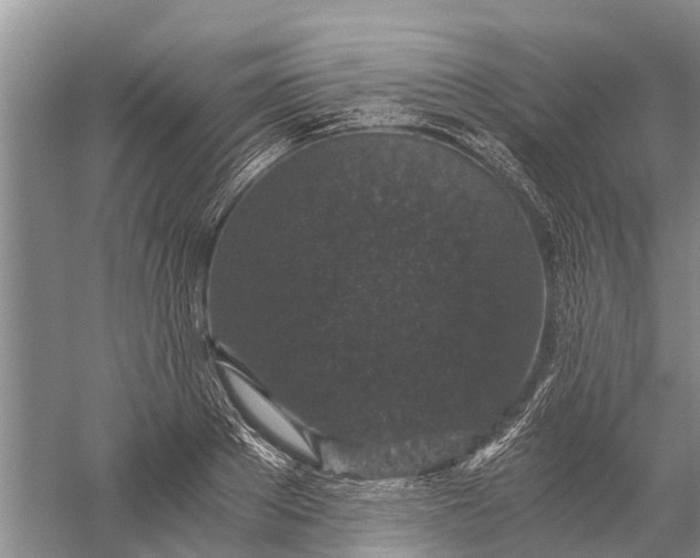 X0000056320889200509231944