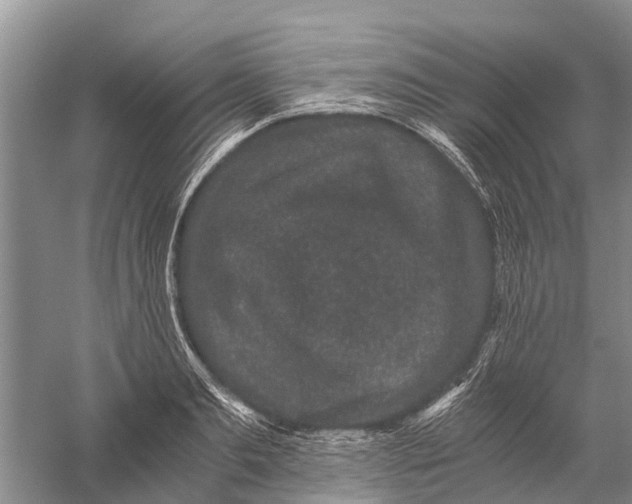 X0000056320893200509231943