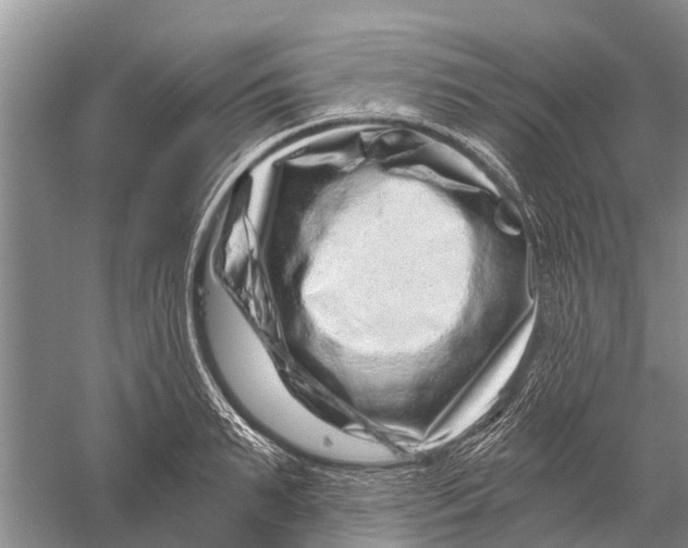 X0000056320895200509231943