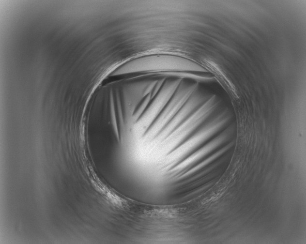 X0000056320900200509231943