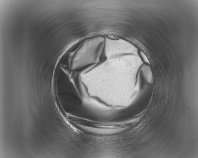 X0000056320902200509231943