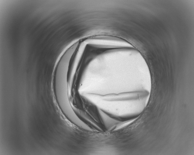 X0000056320912200509231943